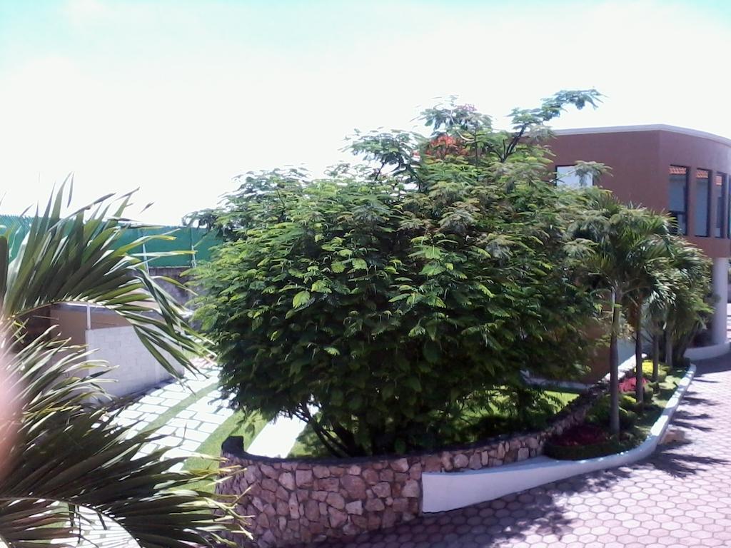 Hotel - Motel Pasion Yecapixtla 외부 사진
